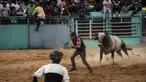 Badut rodeo mencoba mengalihkan perhatian banteng setelah penunggangnya terjatuh saat bertanding di pameran rodeo Boyeros Cattlemen di Pameran Pertanian Internasional Fiagrop 2022 di Havana, Kuba (8/4/2022). Rodeo di Kuba adalah tradisi yang berusia lebih dari dua abad. (AP Photo/Ramon Espinosa)