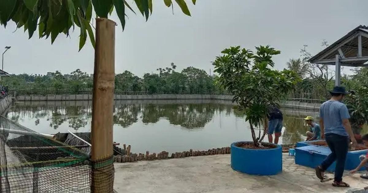 7 Rekomendasi Spot Mancing Nyaman 2025 di Jakarta Utara, Cocok untuk Habiskan Waktu Liburan