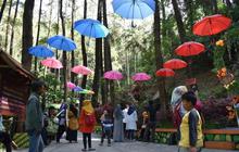 Disparpora Ngawi Luncurkan SIMATA MOLEK, Mudahkan Akses Informasi Pariwisata dan Ekonomi Kreatif