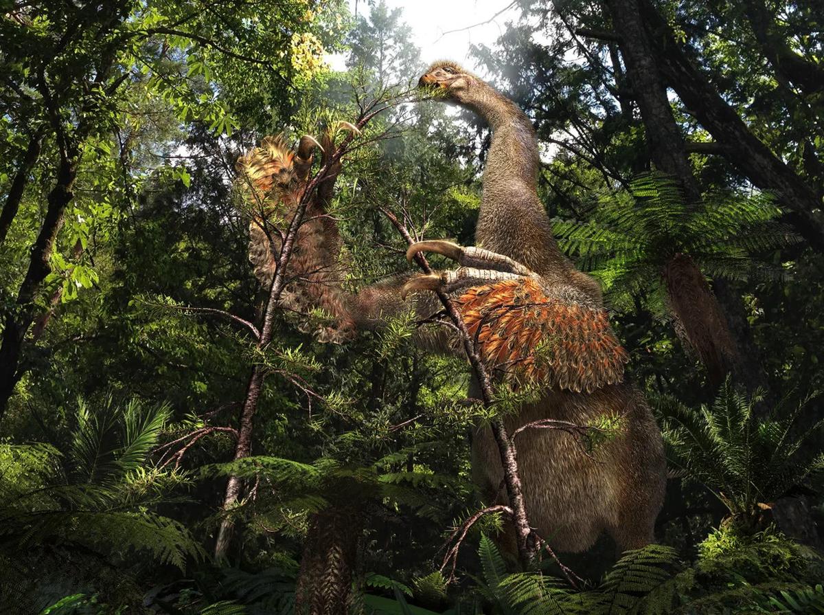 Duonychus Tsogtbaatari