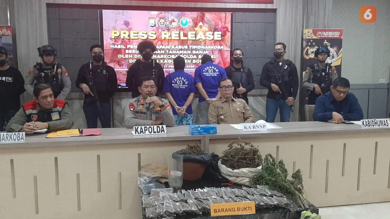 Ladang Ganja di Bone (Liputan6.com/Fauzan)