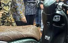 Meski Viral Kasus Rangka e-SAF Patah, Penjualan Motor Honda Baik-baik Saja per September