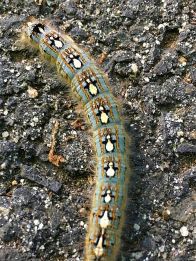 8 Potret Ini Mesti Anda Lihat Dua Kali Baru Bisa Paham