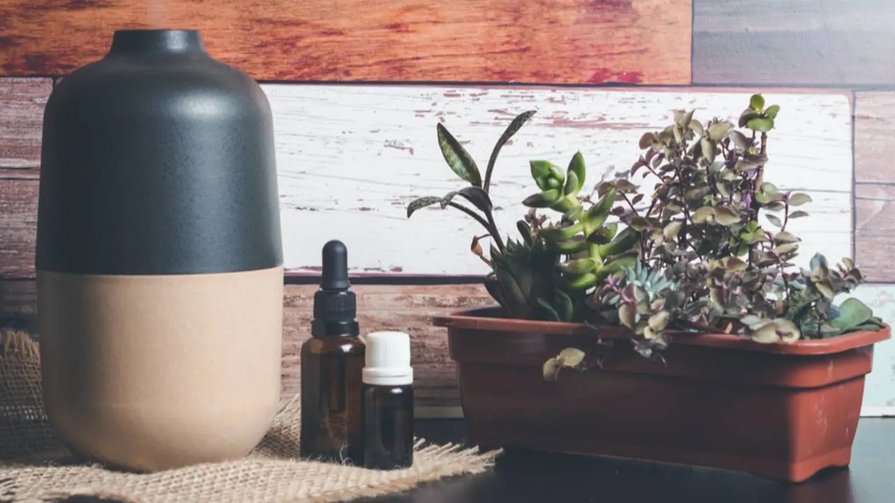 Upgrade Suasana Rumah dengan Diffuser Oil Terbaik yang Wanginya Bikin Betah