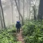 Seorang pendaki berada di Gunung Kencana, Bogor. (Dok: Instagram https://www.instagram.com/p/C3FFwMiRrML/?igsh=eGt2eW91N2sxM24x)