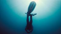 Scary facts about deep oceans you may never heard of before. (Photo: Elion Jashari /Unsplash)