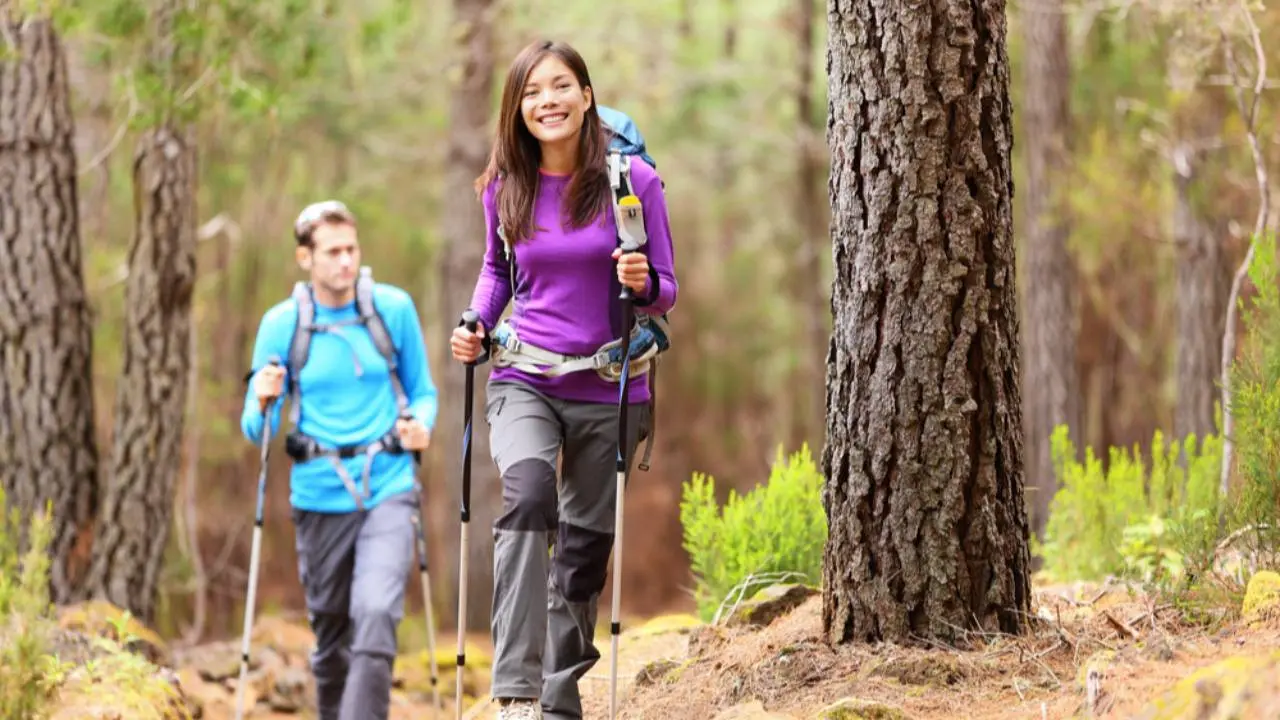 Trekking Pole Lipat untuk Hiking, Teman Praktis untuk Pemula Menjelajahi Jalur Pendakian