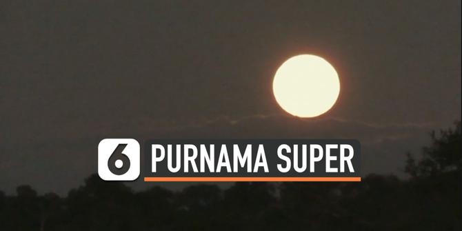 VIDEO: Spektakuler, Bulan Purnama Super di Padang Savana Afrika Selatan