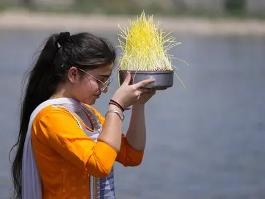 Seorang Umat Hindu bersiap untuk membenamkan bibit jelai sebagai persembahan saat Festival Navratri di Sungai Tawi, Jammu, India, 10 April 2022. Sesaji tersebut dibuat sebagai bagian dari ritual menandai berakhirnya festival selama sembilan hari. (AP Photo/Channi Anand)