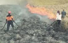 Update Kebakaran Gunung Bromo, Berikut Titik Api yang Belum Padam