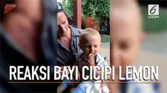 Ekspresi menggemaskan saat seorang balita mencicipi buah lemon untuk pertama kalinya.