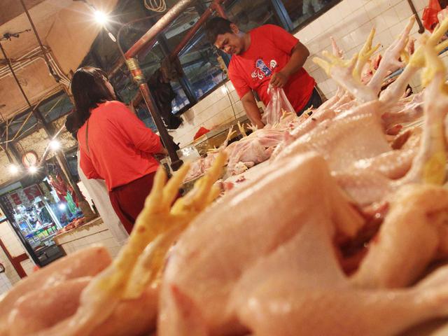 Usai Lebaran Harga Daging Ayam Dan Sapi Kembali Normal Bisnis