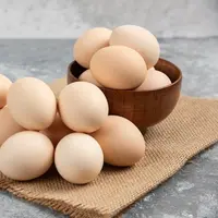 telur copyright/freepik/azerbaijan_stockers