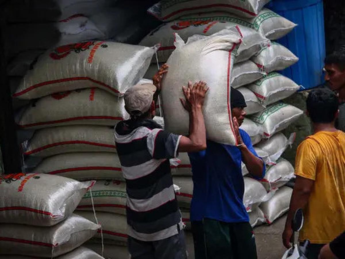 Catat, Pemerintah Tak Pernah Minta Beras Premium Ditarik Imbas Kasus Oplosan