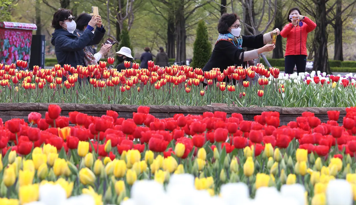 Sejumlah perempuan yang memakai masker mengambil foto bunga tulip di sebuah taman di Goyang, Korea Selatan, pada 13 April 2021. Korea Selatan sedang menyambut musim semi yang akan berlangsung dari Maret hingga Mei. (AP Photo/ Ahn Young-joon)