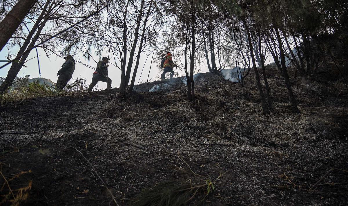 Karhutla Gunung Bromo Meluas Hingga 550 Hektare