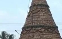 Unik! Pohon Natal di Semarang Dibuat dari Tanaman Eceng Gondong, Raih Rekor Muri