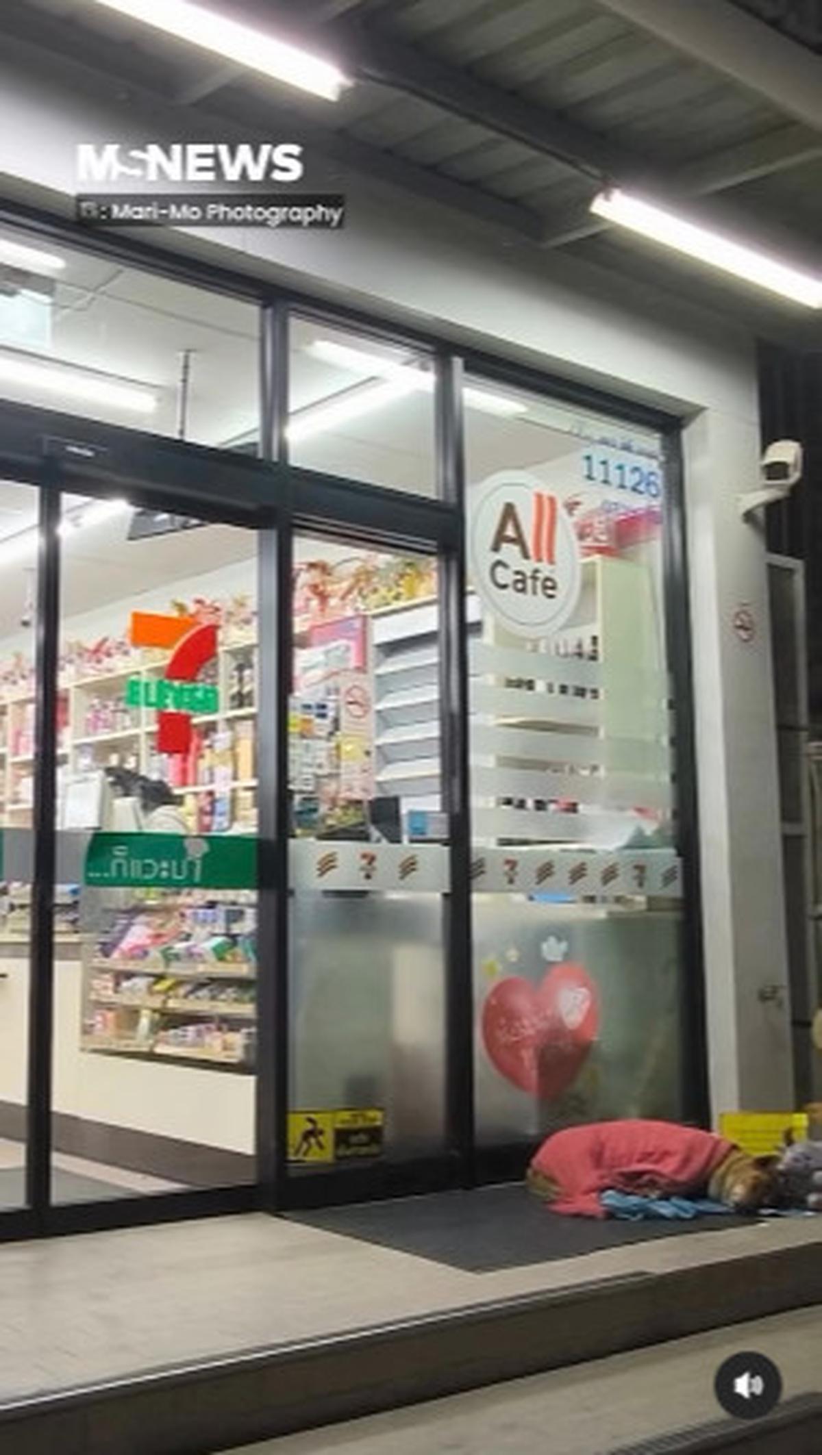 Anjing Moo Daeng Setia Tunggu Pemiliknya yang Telah Wafat di Depan Minimarket, Mirip Hachiko Jepang