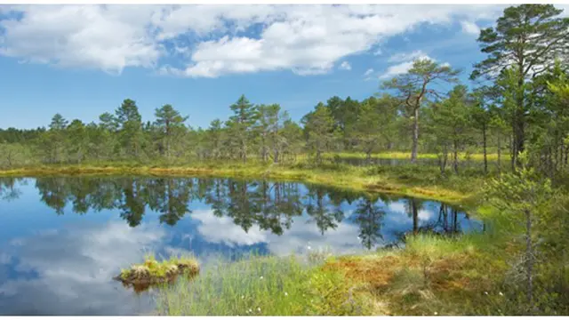 Foto : copyright listverse.com