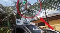 Orang Sakti yang meniru dandanan wali songo itu duduk di atas pelepah kelapa yang diarak dengan mobil pick up. (prokal/Jawapos)