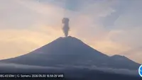 Gunung Semeru Erupsi, Kolom Abu Membumbung 1 Kilometer di Atas Puncak