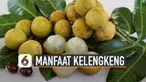 Konsumsi buah-buahan memang baik untuk tubuh. Salah satunya buah kelengkeng dapat turunkan berat badan. Ini dia beberapa manfaat konsumsi buah kelengkeng.
