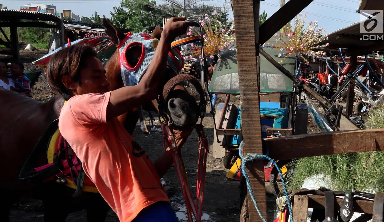 Kusir menyiapkan andong untuk wisatawan di Kelurahan Jatinegara, Kec Cakung, Jakarta, Sabtu (27/1). Dengan menarik andong setiap harinya rata-rata kusir mendapatkan antara 30 - 100 ribu perharinya untuk menghidupi keluarganya. (Liputan6.com/Johan Tallo)