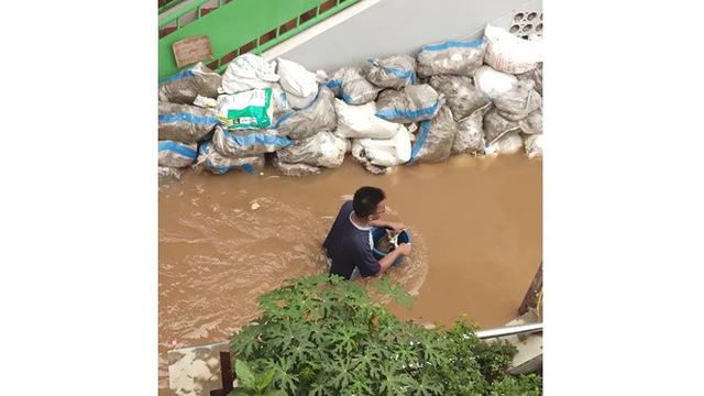 Potret Evakuasi 6 Kucing saat Banjir Ini Bikin Haru