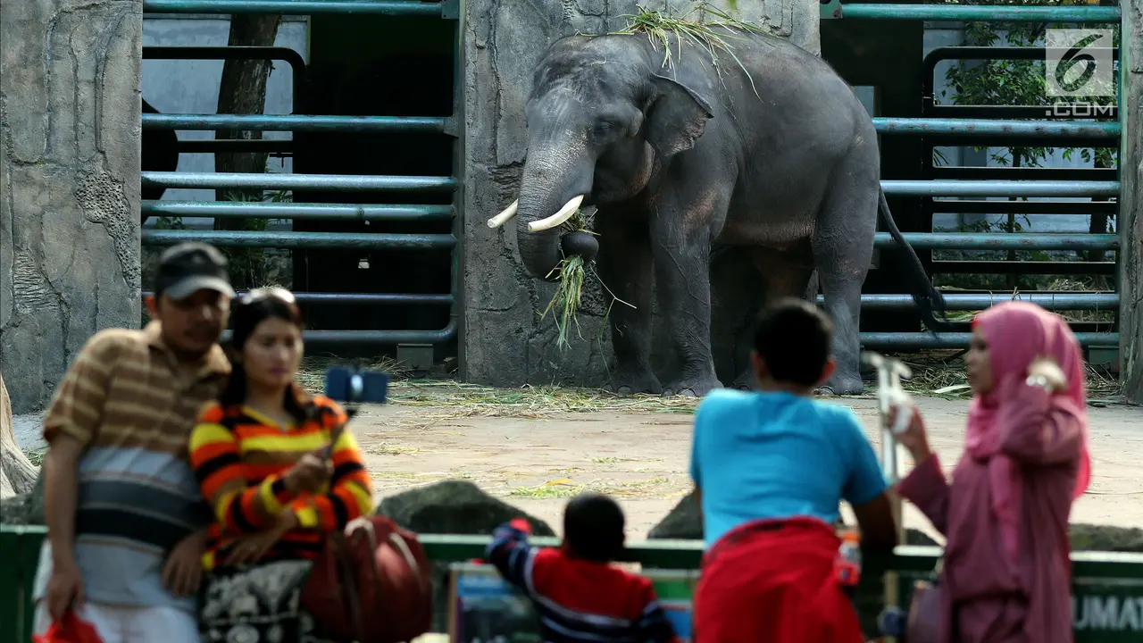 Libur Lebaran, Kebun Binatang Ragunan Masih Jadi Favorit Wisata