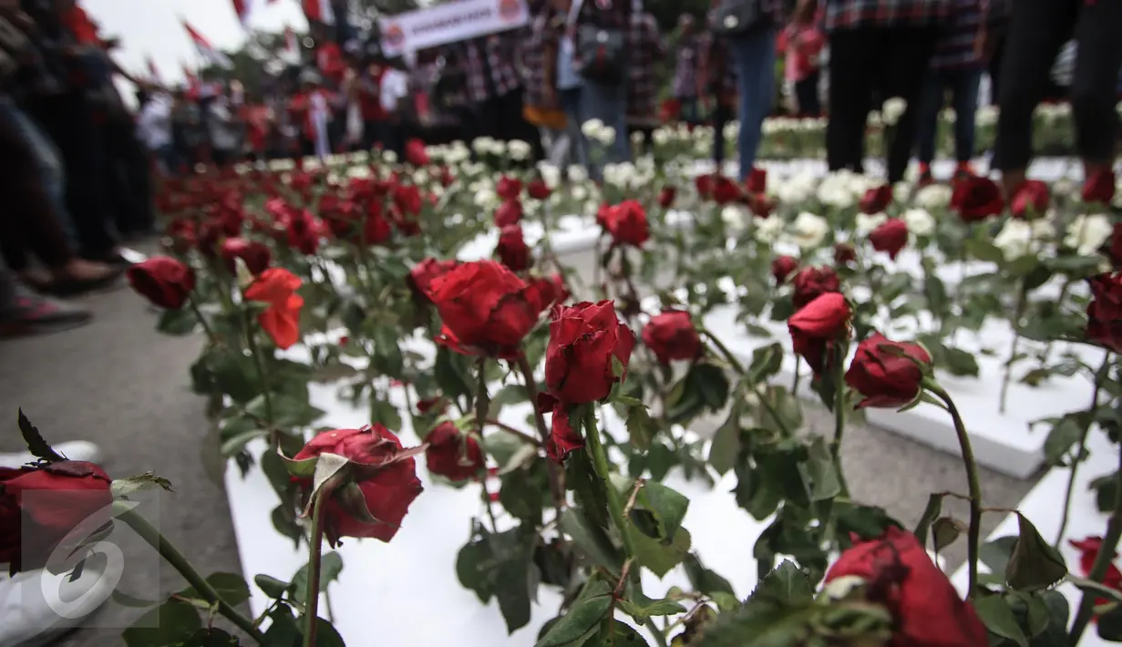 Hamparan bunga mawar merah dan putih menghiasi lokasi sidang vonis Basuki Tjahaja Purnama atau Ahok di Kementerian Pertanian, Jakarta, Selasa (9/5). Sebagian dari bunga itu, dibagikan kepada sesama pendukung dan masyarakat. (Liputan6.com/Faizal Fanani)
