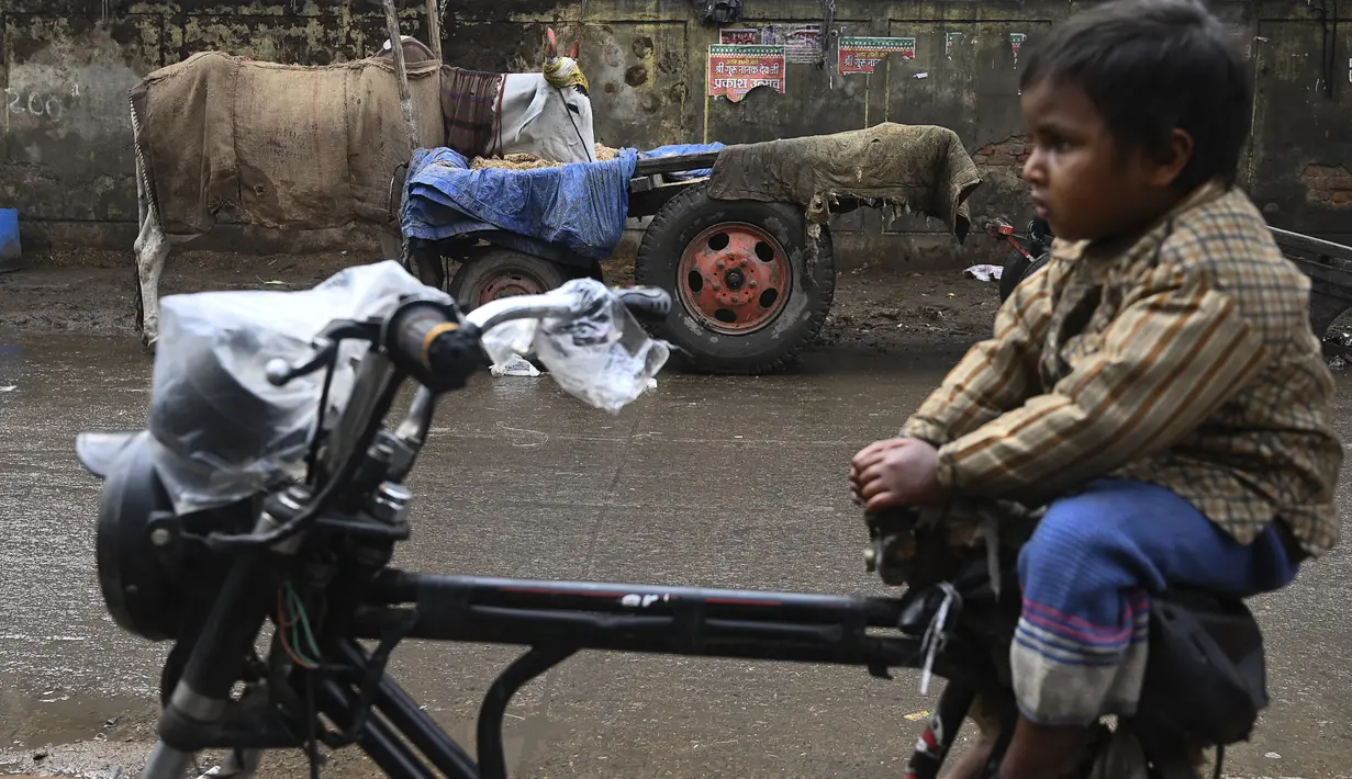 Seorang anak duduk di atas becak seekor sapi ditutupi dengan karung goni di pinggir jalan di New Delhi, India, Selasa (5/1/2021). Pemilik sengaja memakaikan penutup pada tubuh sapi untuk melindungi sapi dari cuaca dingin. (Photo by Sajjad HUSSAIN / AFP)