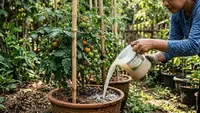 10 Tanaman yang Bisa Tumbuh dengan Siraman Air Beras, Pilihan Menarik untuk Mulai Berkebun