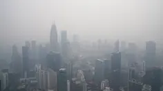 Atasi Kebakaran Hutan RI, Malaysia Bakal Kolaborasi Modifikasi Cuaca