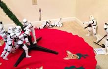 Puluhan stormtrooper bantu pria ini hias pohon natal