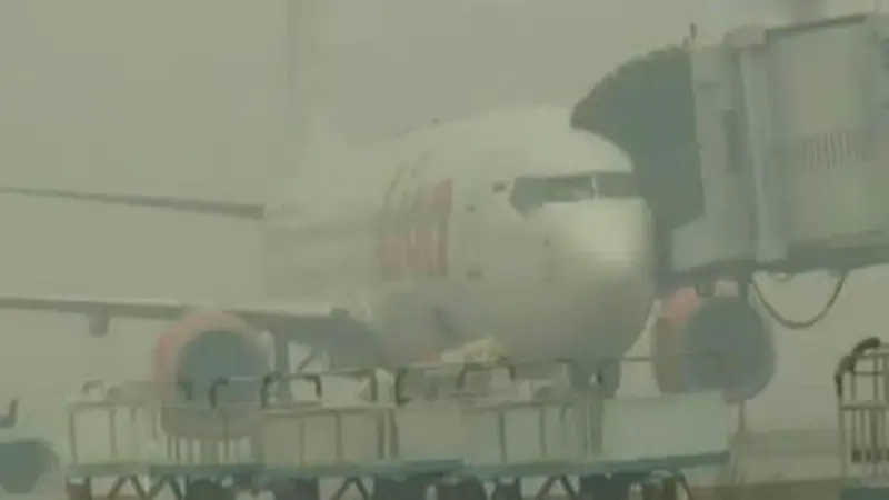 Kabut Asap Semakin Pekat, Bandara di Palembang Kembali Lumpuh