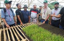 Potensi RI Jadi Lumbung Pangan Dunia Menguat, Delegasi 20 Negara Pelajari Inovasi Bawang Merah di Bandung