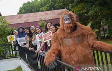 Hari Primata Indonesia: Belantara Foundation Ajak Kolaborasi Lindungi Primata Indonesia dari Ancaman Kepunahan