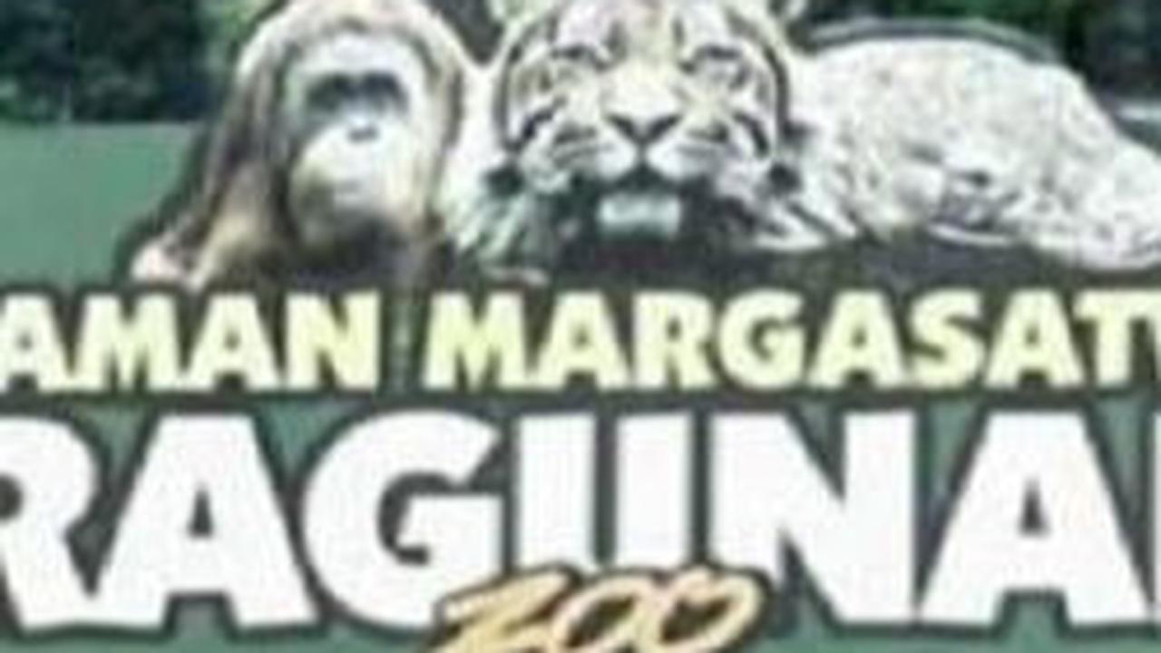 Tempat ini menarik pengunjung dari segala usia, memberikan kesempatan untuk belajar tentang hewan, habitatnya, dan pentingnya melestarikan keanekaragaman ekosistem bumi.