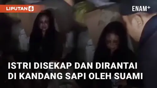 VIDEO: Viral Istri Disekap dan Dirantai di Kandang Sapi Oleh Suami di Jember