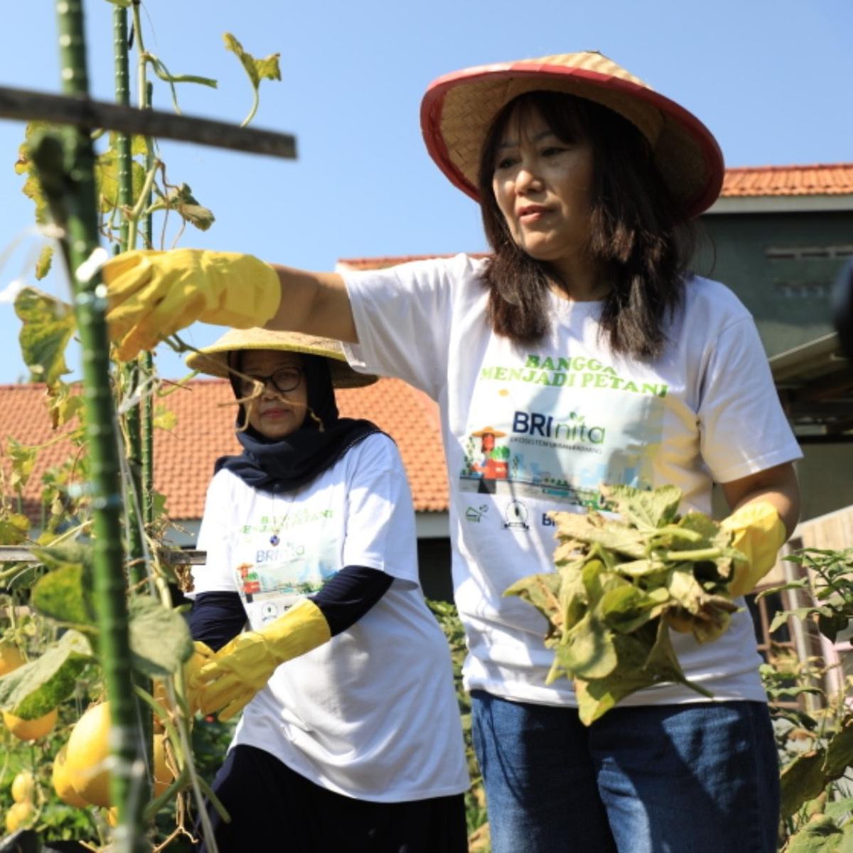 Dukung Pemberdayaan Wanita & Keseimbangan Lingkungan, BRI Raih Penghargaan Merdeka Award 2024