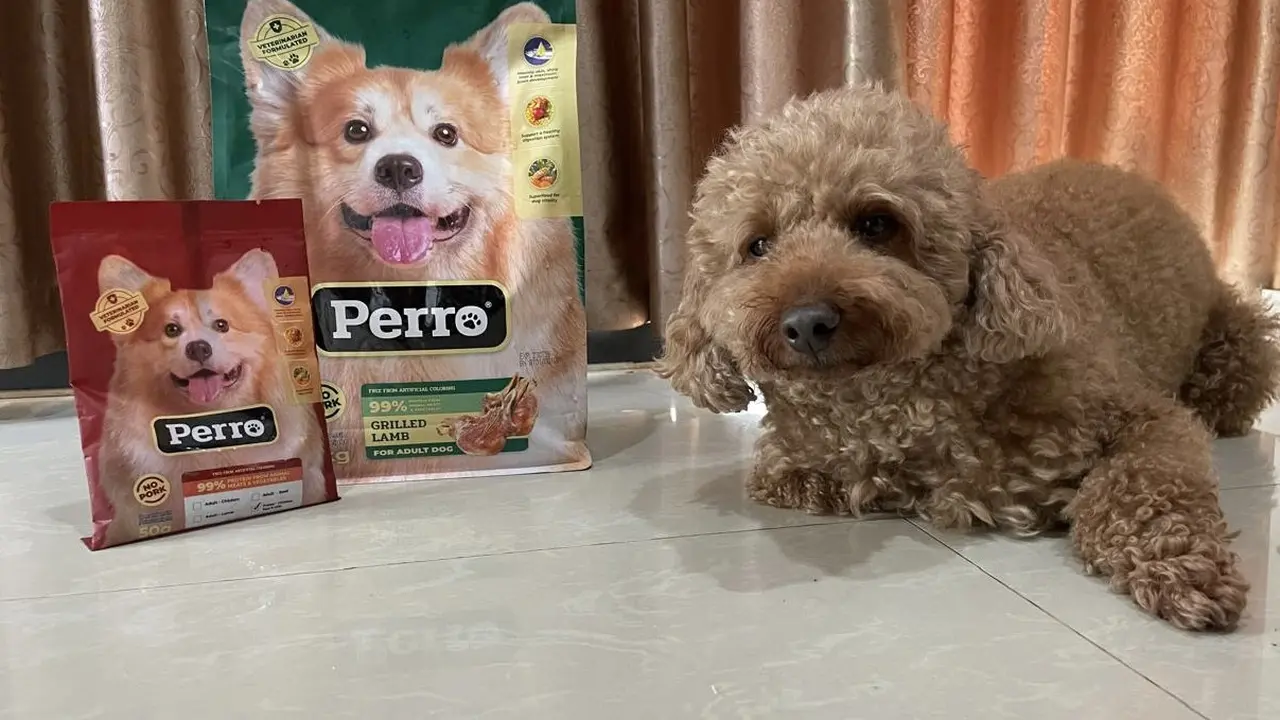 Kino Indonesia meluncurkan Perro, makanan anjing premium yang diformulasikan khusus untuk memenuhi kebutuhan nutrisi yang lengkap serta seimbang untuk hewan peliharaan. (Dok KINO)
