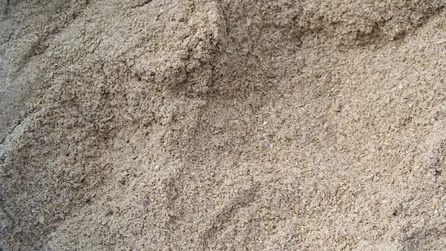 Ilustasi dedak padi