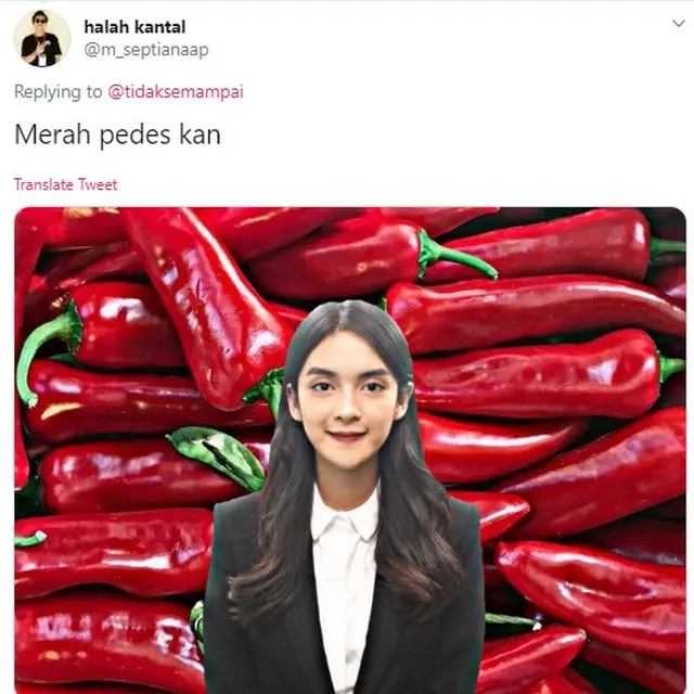 editan foto warganet