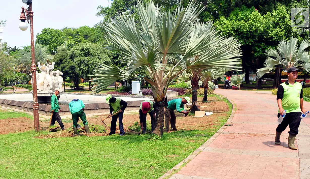Para pekerja merapikan rumput yang ada di Taman Banteng, Jakarta Pusat, Sabtu (7/10). Proyek revitalisasi Lapangan Banteng oleh Dinas Kehutanan dan Pemakaman DKI Jakarta telah dimulai sejak 1 September lalu. (Liputan6.com/Helmi Afandi)