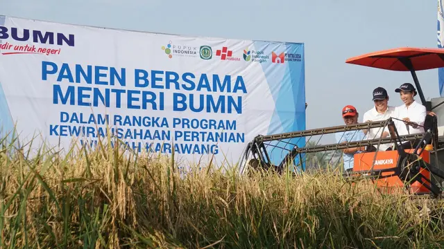 Menteri BUMN Rini Soemarno melakukan panen raya di Desa Duhur, Karawang. (Dok Kementerian BUMN)