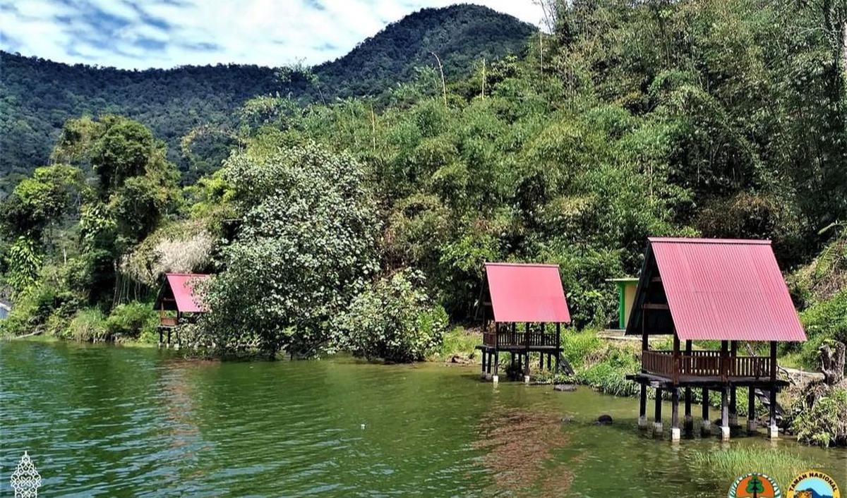 <b>Gabungan 17 Hutan</b>