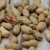 kacang tanah/copyright: pexels.com/shatta pilabut