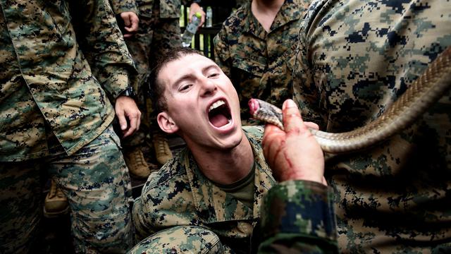 7 Latihan Militer Paling Ekstrem Salah Satunya Juga Dilakukan Tni Global Liputan6 Com