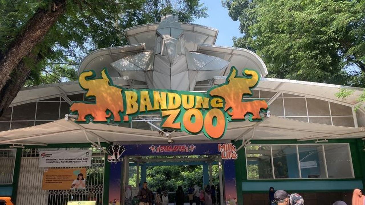 APECSI Sayangkan Pengelolaan Bandung Zoo Diserahkan ke KBS dan Ragunan, Ribuan Satwa Terancam?