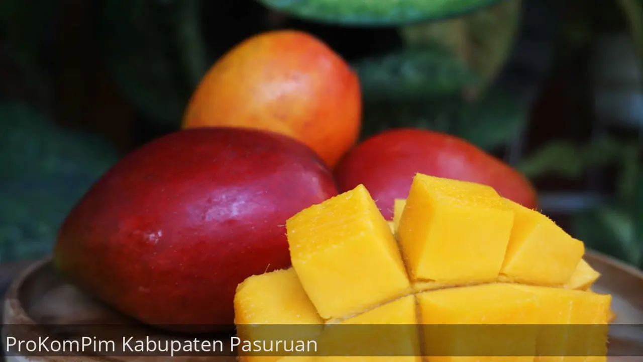 Mangga Garifta hasil budidaya petani di Pasuruan ini mempunyai citarasa menyegarkan. (Istimewa)